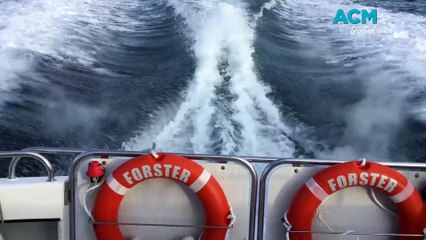 Search for missing diver off Skeleton Ricks, September 4, 2025.