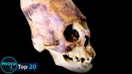 Top 20 Most Controversial Discoveries In History