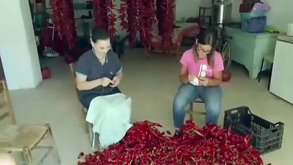 Help We Bought A Village S04E03 - Full Movie