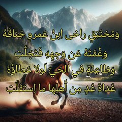 لهفي على صخر فإني أرى له   ،   الخنساء