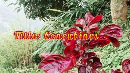 Concubines Latest duet  Romantic Love song