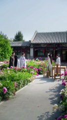 I Know Our Top Eunuch Isn't A Eunuch. The Mark I Left On His Neck Proves..This Secret Get Me KILLED😱