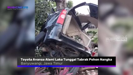 Tak Dapat Kendalikan Laju Kendaraan, Toyota Avanza Alami Kecelakaan Tunggal Tabrak Pohon Nangka di Bahu Jalan Ini Kronologinya
