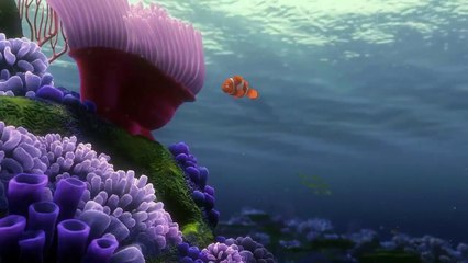 海底总动员 clip  V1 0002