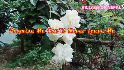 Promise me… you’ll never leave me.LATEST  DUET LOVE SONG