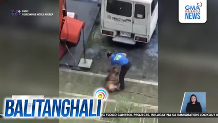 Pananakit ng K-9 handler sa isang aso, huli-cam; handler, sinuspende | Balitanghali