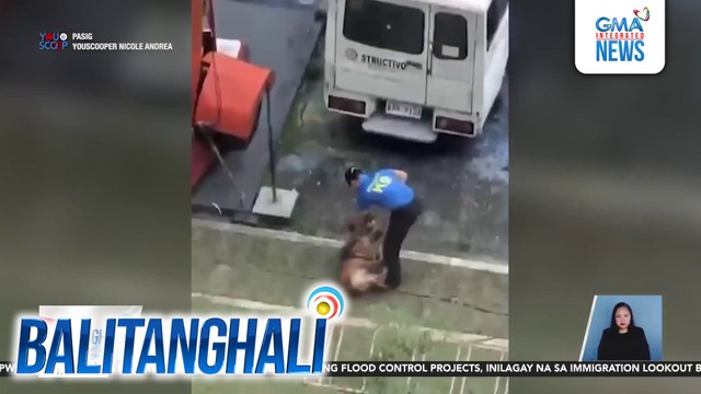 Pananakit ng K-9 handler sa isang aso, huli-cam; handler, sinuspende | Balitanghali