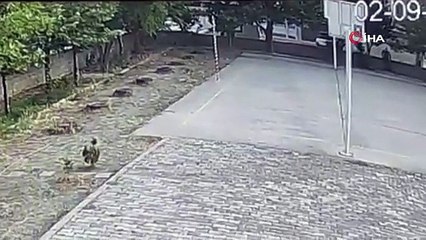 Okul müdüründen hayat kurtaran müdahale! Anbean kaydedildi