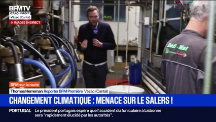 La production du fromage Salers AOP perturbée à cause de la sécheresse