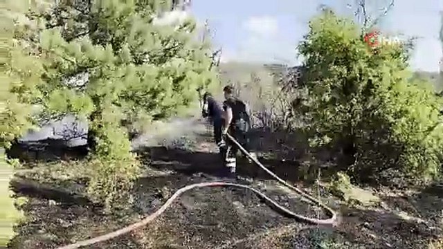 Karabük'teki büyük orman yangınında kafaları karıştıran ''kargalar'' detayı