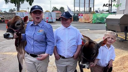 Three young siblings bring their passion for dairy farming to the showring