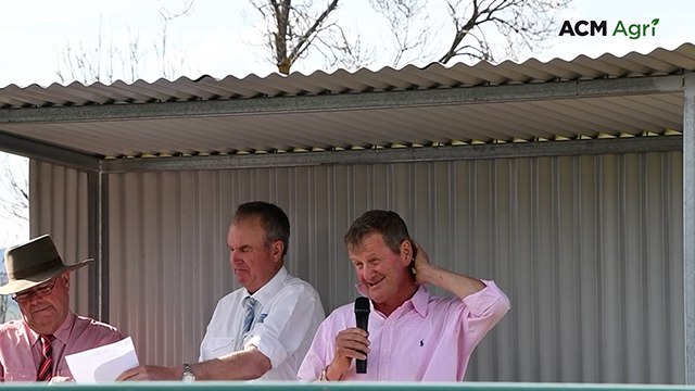 Millah Murrah stud principal overwhelmed by support at bull sale