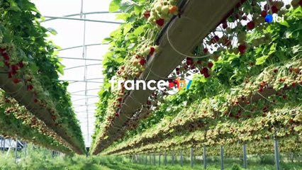 04/09/2025 - ici matin par ici Pays Basque en vidéo