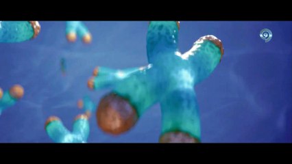 Shell - Intense Dystopian Thriller with Elisabeth Moss 🎬