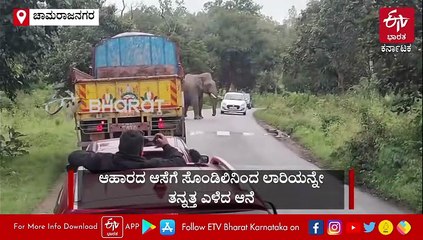 ಮತ್ತೆ ಫೀಲ್ಡ್​​ಗಿಳಿದ ಒಂಟಿ ಸಲಗ: ಊಟಿಗೆ ತೆರಳುವ ಮಾರ್ಗ ಮಧ್ಯೆ ಗಜರಾಜ ಕಿರಿಕ್