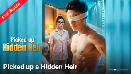 Picked Up Hidden Heir Chinese