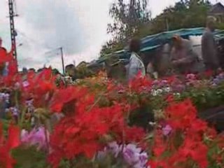 le temps des cerises à Naucelle  -côté jardin -