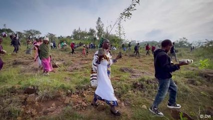 Ethiopia's green legacy initiative helps forests to recover
