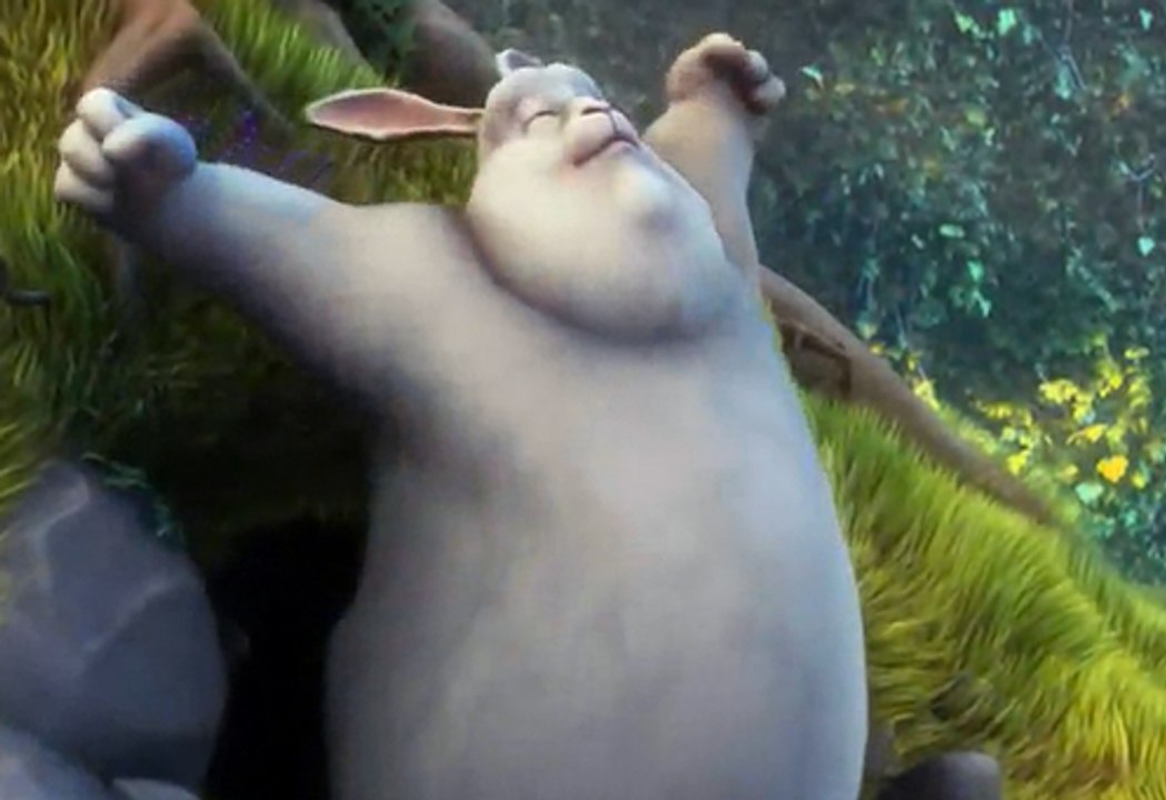 AtexTestVideo  Bunny video risveglio