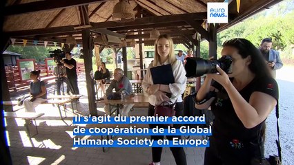 Bien-être animal : l'American Humane Society signe un partenariat avec une association hongroise