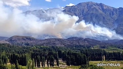 Brucia anche l'Argentina: un incendio in Patagonia distrugge 2.000 ettari di foresta