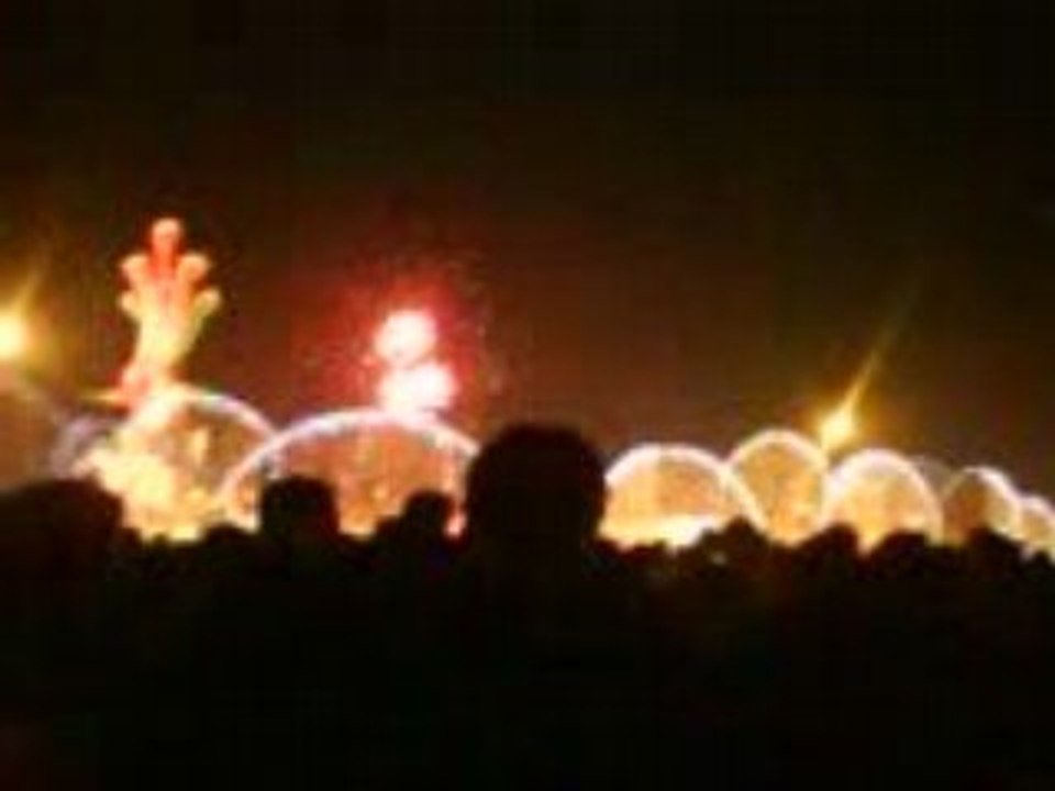 2008台南燈會-2