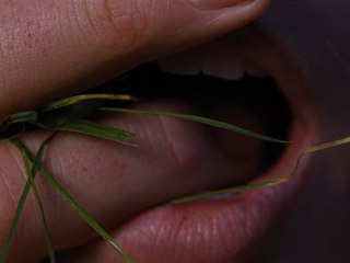 Wuthering Heights (Hurlevent): Teaser HD VF