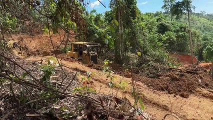 Why is the Bulldozer D6R XL the mainstay for plantation roads?