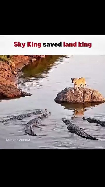 Sky King Rescues Land King 🌌🗿🔥 Unshakable Brotherhood!