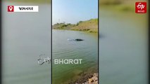 જામનગર: વાણિયા ગામે રીલ બનાવવાના ચક્કરમાં યુવક SUV કાર સાથે તળાવમાં ખાબક્યો