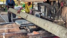 Sawmill Technology for Coconut Wood 2x20