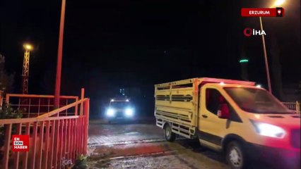 Erzurum'da üzerlerine düşen yıldırım, baba ve oğlunu hayattan kopardı