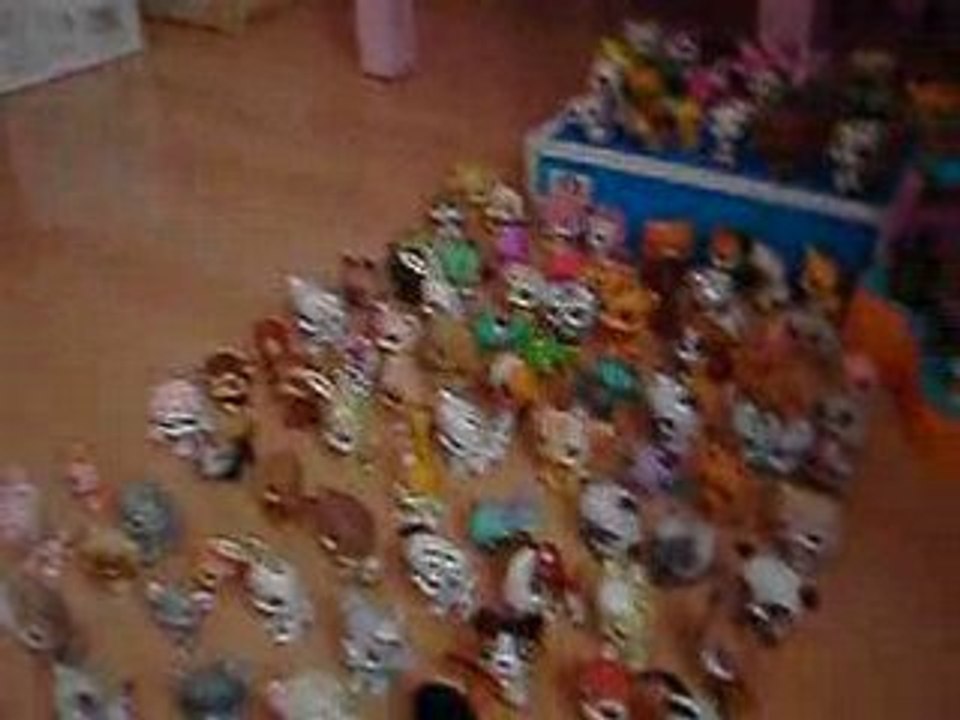 Catastrophe,chez mes petshop