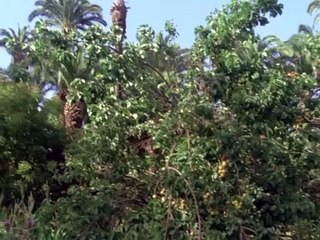 Ek larki or 2 larkay pori duniya ma bachay 🤔