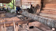 Efficient Ways to Saw Coconut Trees 5x7 with Sawmill Technology
