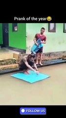 🤣 Prank of the Year | Funniest Comedy Short Ever 😂🔥