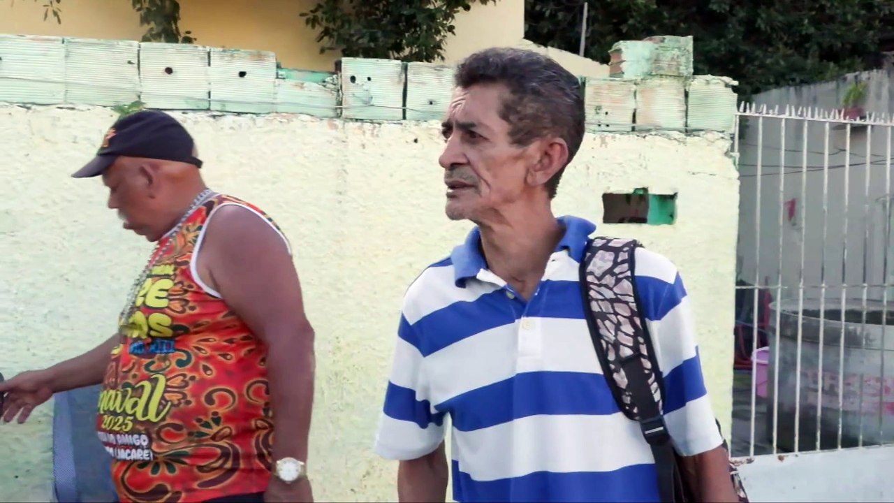 Árvore de 15 metros cai sobre casa em Recife: danos estruturais e suspeitas de irresponsabilidade