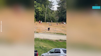 Scary Moment Couple Don't Realise a Bear Is Heading Right Towards Them