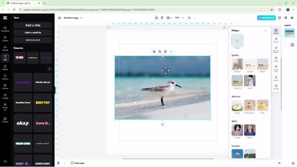 Capcut Web Editor 53 Photo Filters