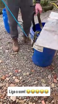 Maior cobra de SC assusta família ao passear por jardim de casa em Jaraguá do Sul