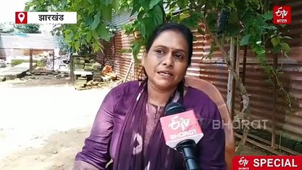 सुमन-सोनाली की अनोखी दुनिया! जानें, डॉग कपल के प्रेम और समर्पण की कहानी