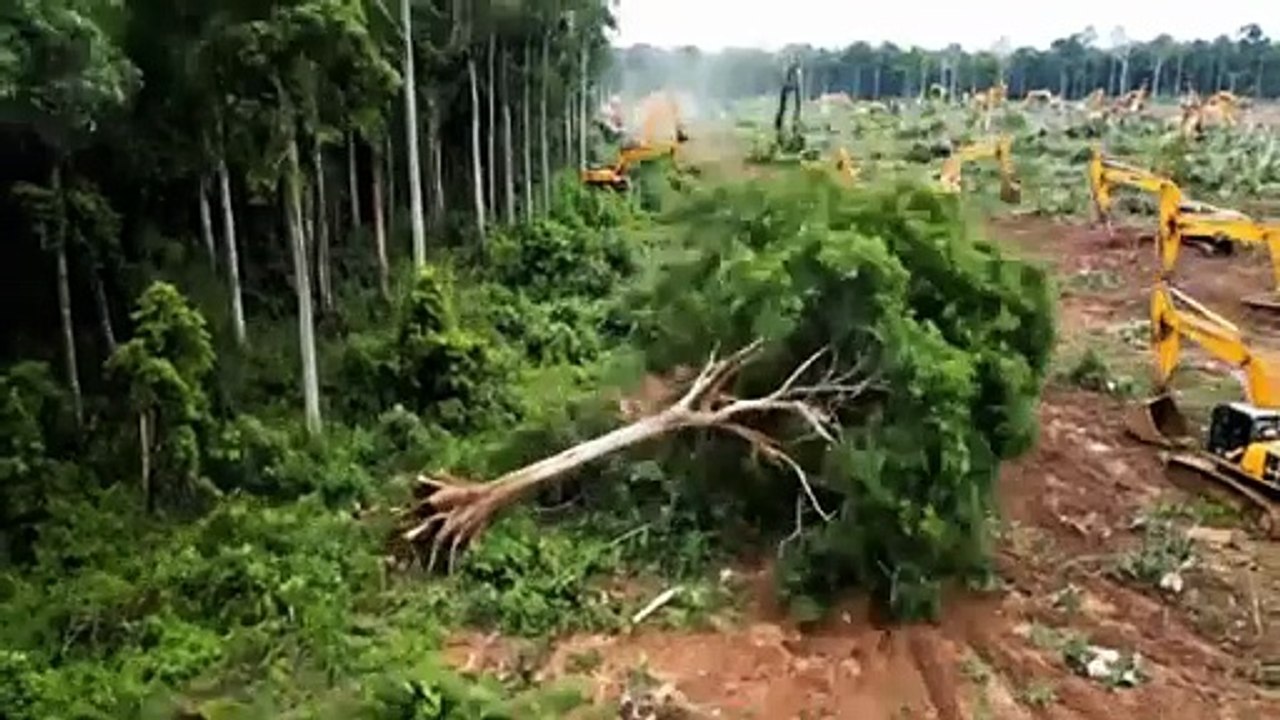 ..Tarzan (2026) - First Trailer | Chris Hemsworth, Scarlett Johansson