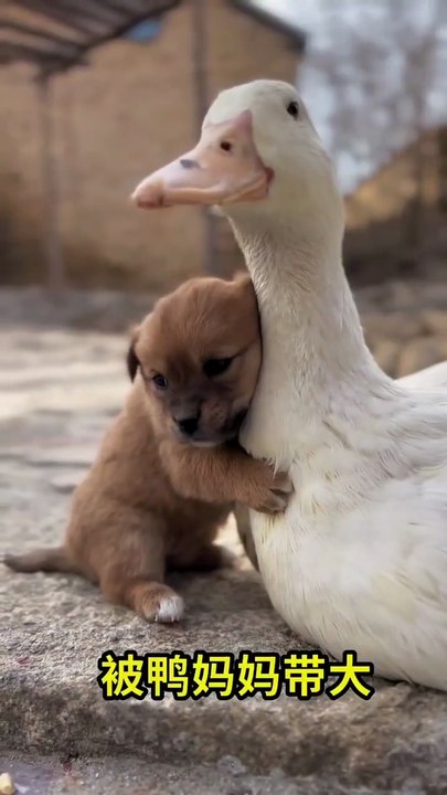A beautifuf moment #37