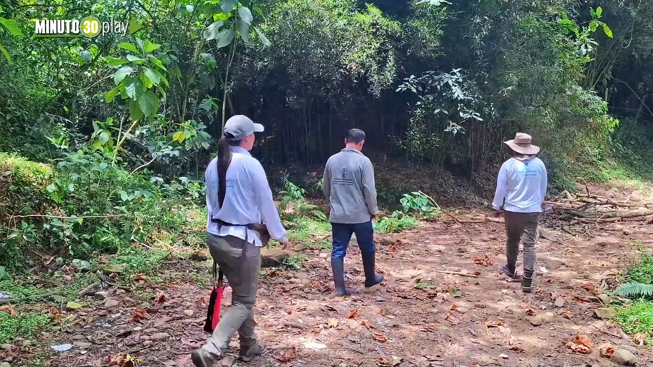 Cámaras revelan la rica biodiversidad en Medellín con el registro de 21 especies de mamíferos