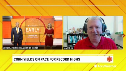 USDA expects strong corn harvest