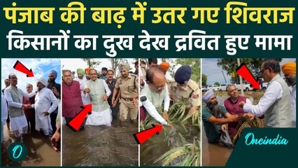 Punjab Flood: Shivraj Singh Chauhan खुद पानी में क्यों उतरे? मंत्री का ये रूप देख जनता हैरान!