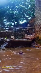 Mucha lluvia Tacuarembó - La tierra saturada de agua 03/09/2025