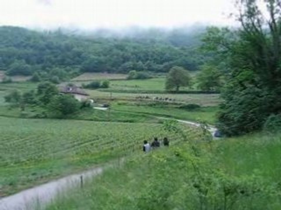 Clio II_2 épine 2008