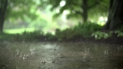 Slow Motion Rain Relaxing Natural Rainfall Stock Footage