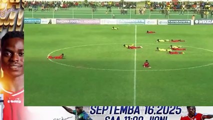 Se detiene un partido de fútbol en Tanzania... ¡por un enjambre de abejas!
